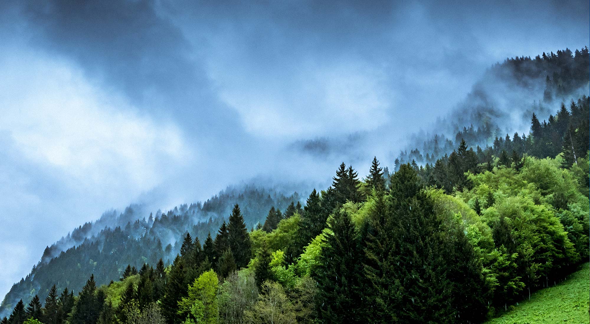 Ecologie verte & écologie bleue