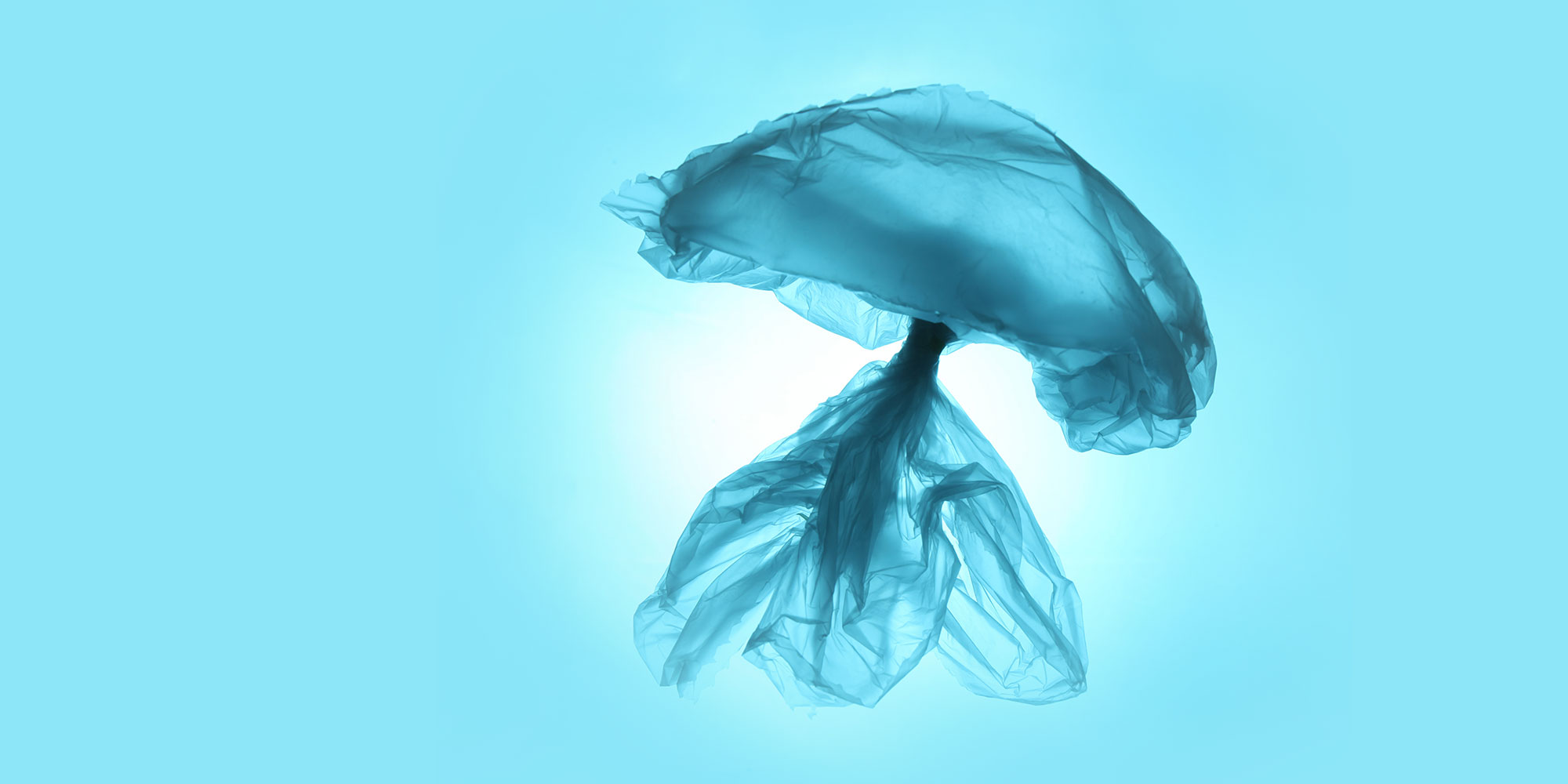 Pollution des océans : quelles alternatives au plastique conventionnel ?