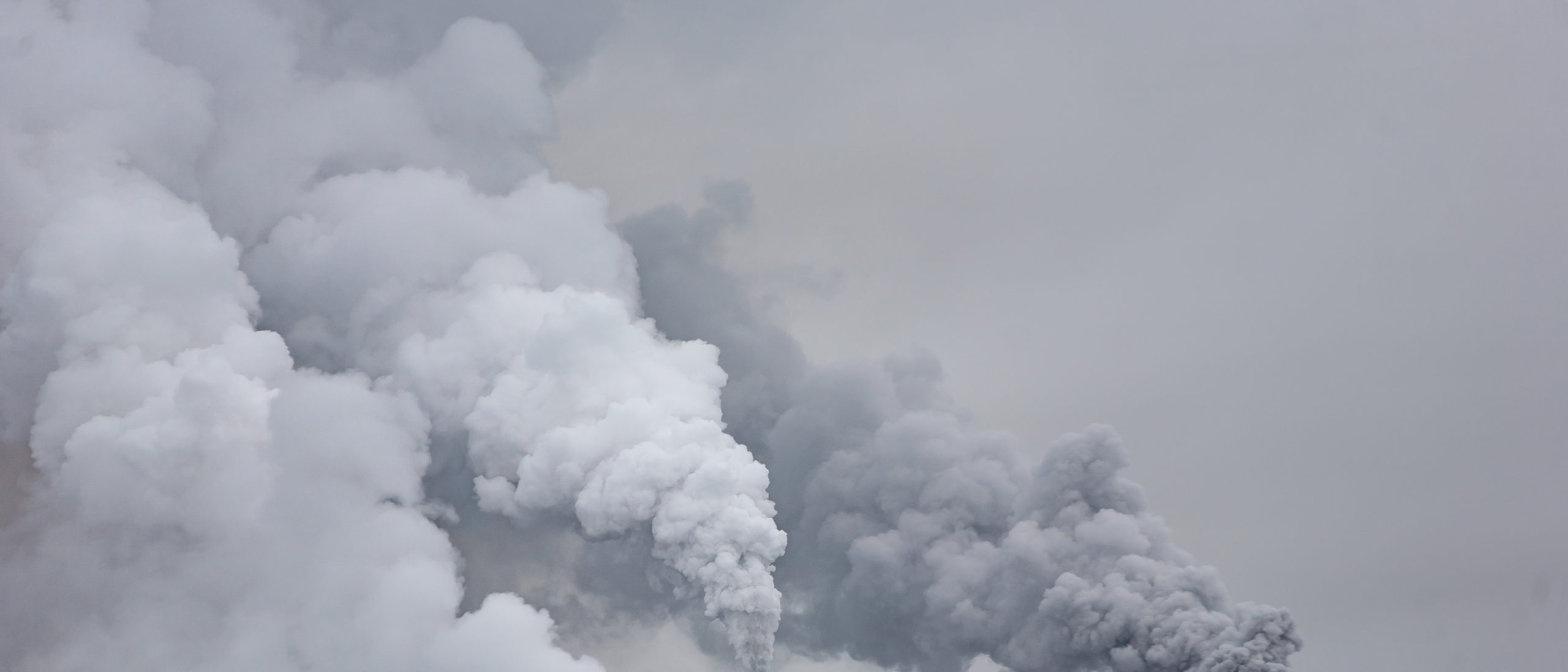 La capture du CO2 comme alliée dans la transition énergétique